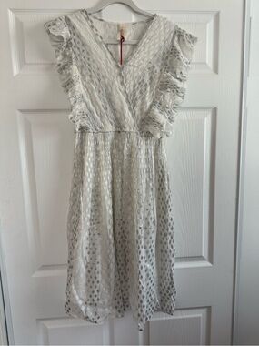 RAGA Whisker Away Silver and White Textured Dress Size XS NWT